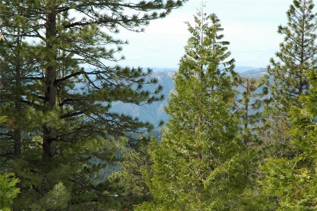 7486 Henness Ridge, Yosemite West, CA 95389