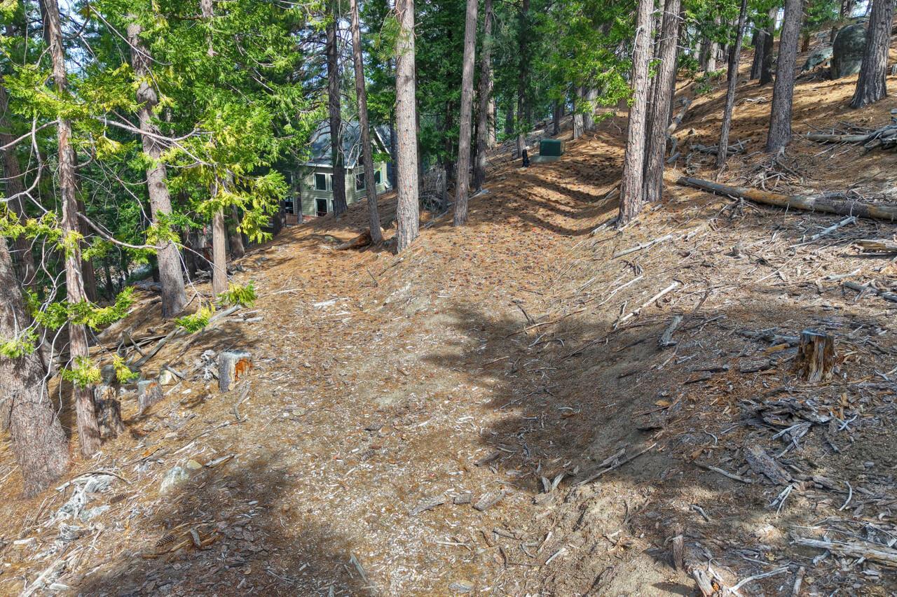 7486 Henness Ridge, Yosemite West, CA 95389