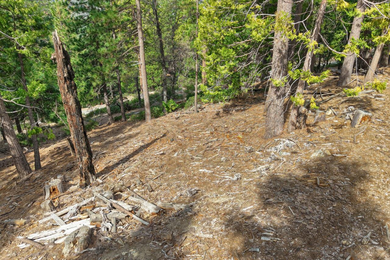 7486 Henness Ridge, Yosemite West, CA 95389