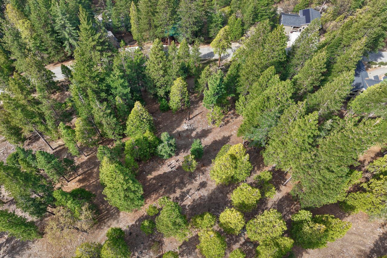 7486 Henness Ridge, Yosemite West, CA 95389
