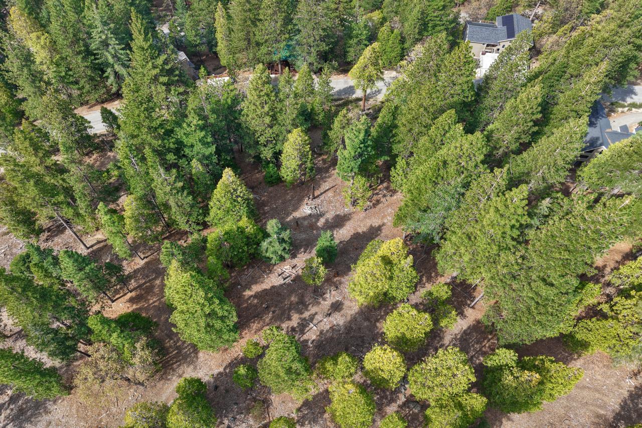 7486 Henness Ridge, Yosemite West, CA 95389