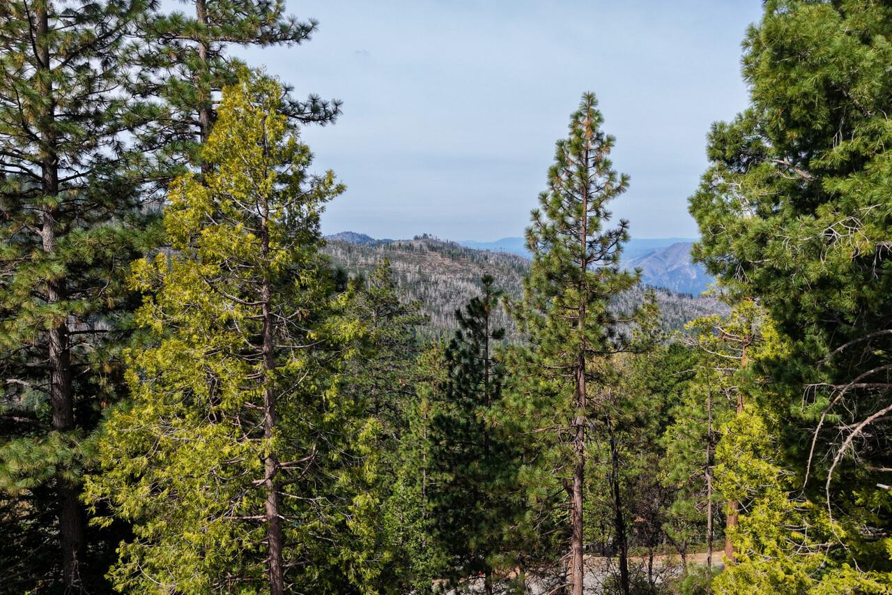7486 Henness Ridge, Yosemite West, CA 95389
