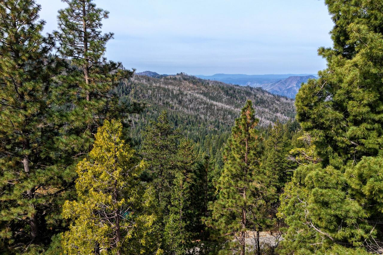 7486 Henness Ridge, Yosemite West, CA 95389