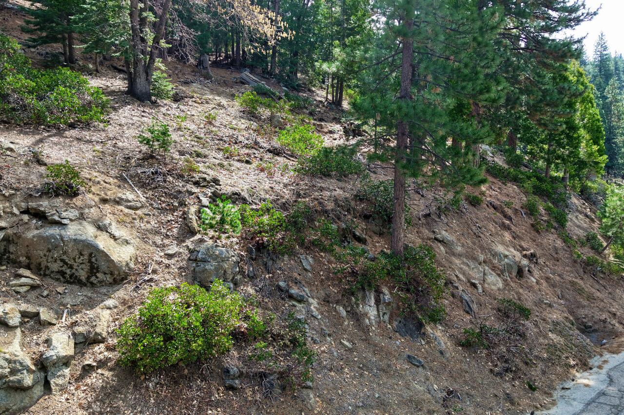 7486 Henness Ridge, Yosemite West, CA 95389