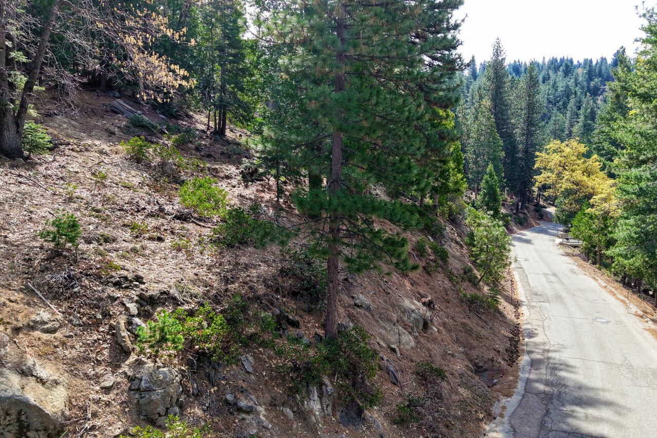 7486 Henness Ridge, Yosemite West, CA 95389