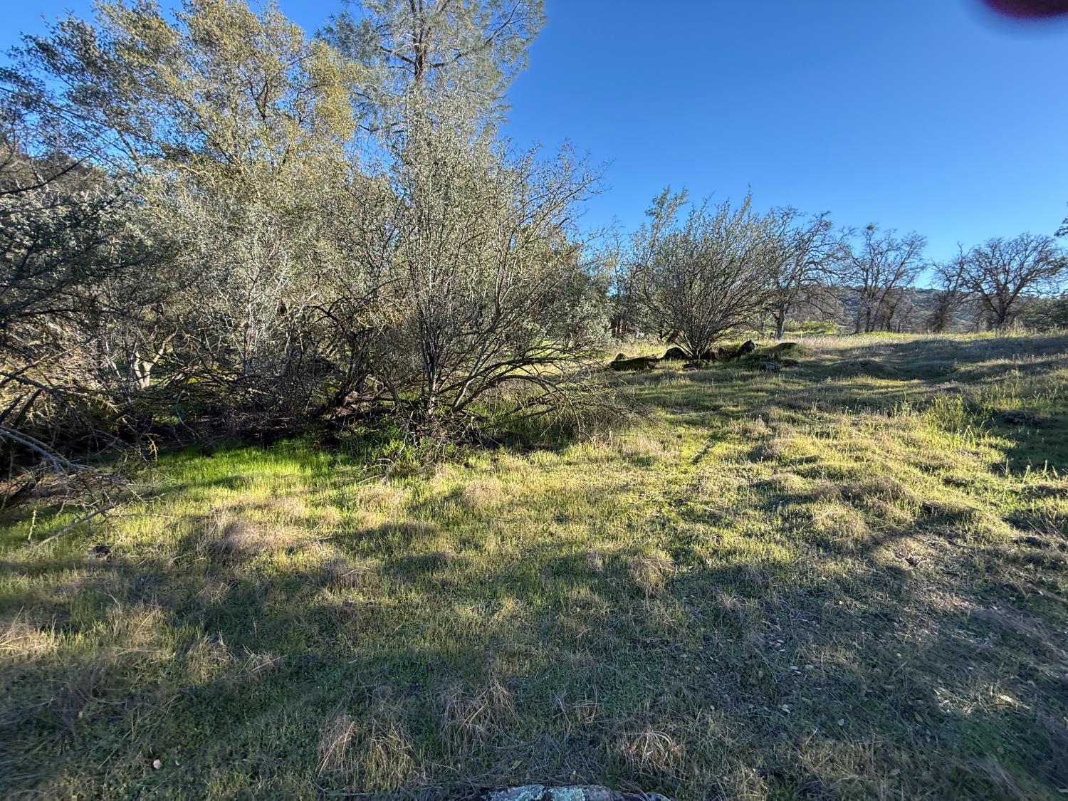 1631 Long Hollow Dr #1631, Coarsegold, CA 93614