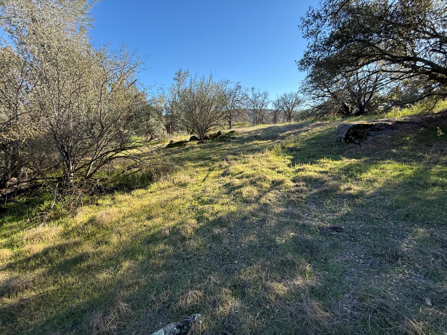 1631 Long Hollow Dr #1631, Coarsegold, CA 93614