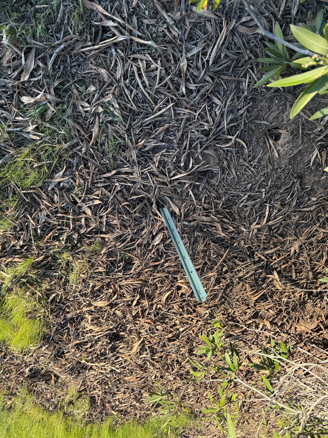 1631 Long Hollow Dr #1631, Coarsegold, CA 93614