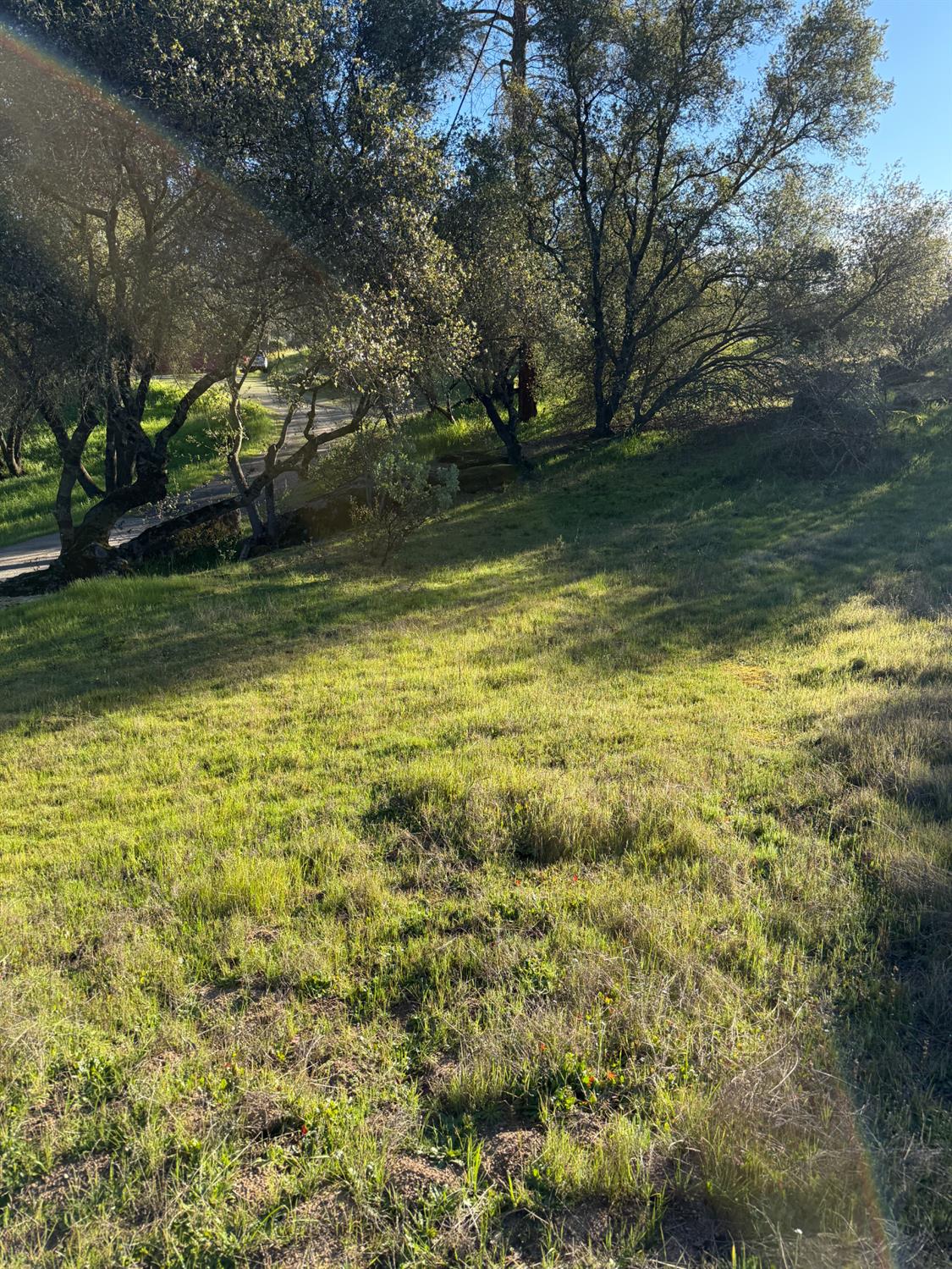 1631 Long Hollow Dr #1631, Coarsegold, CA 93614