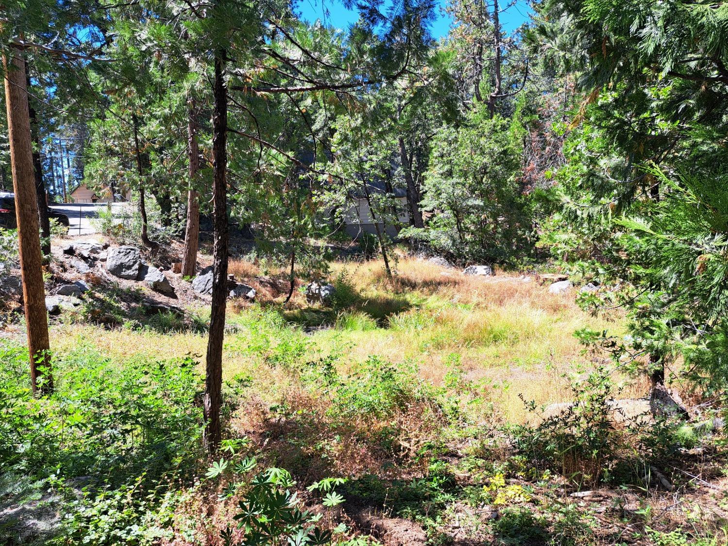 41290 Kokanee Ln, Shaver Lake, CA 93664