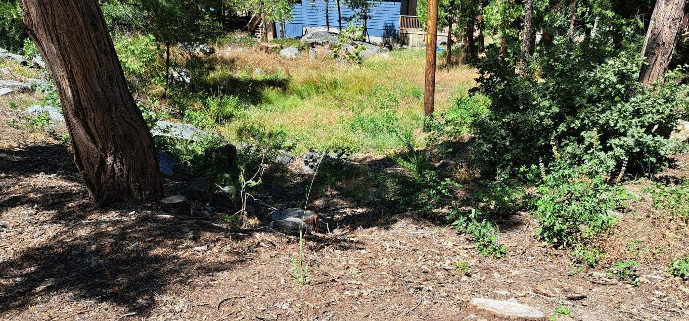 41290 Kokanee Ln, Shaver Lake, CA 93664