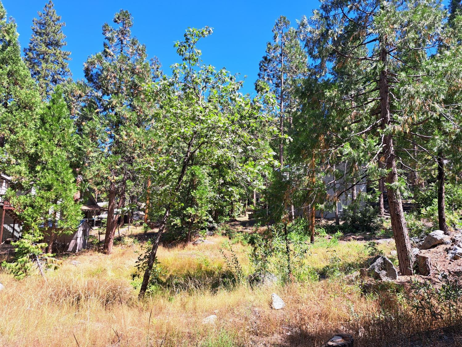 41290 Kokanee Ln, Shaver Lake, CA 93664