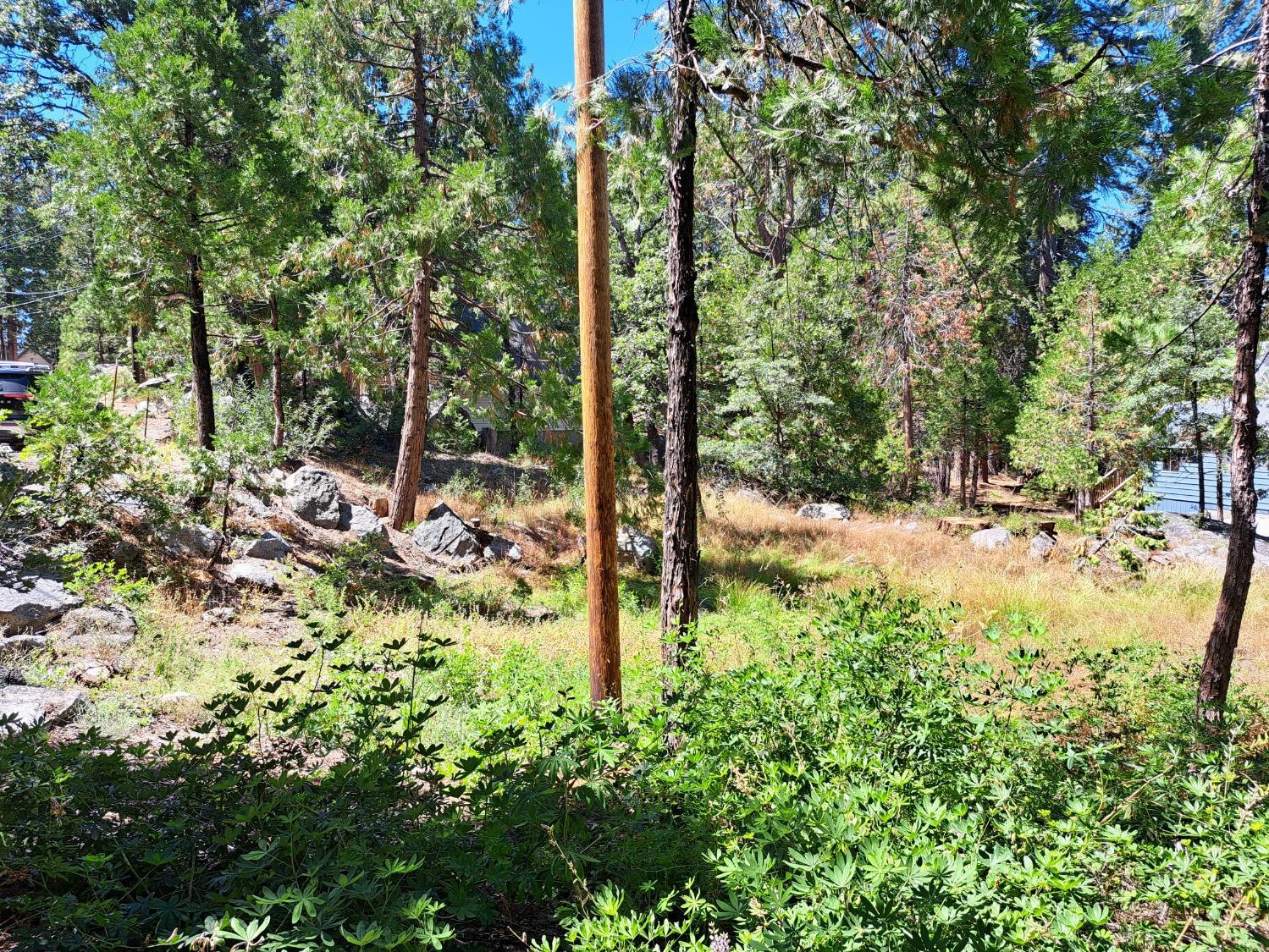 41290 Kokanee Ln, Shaver Lake, CA 93664