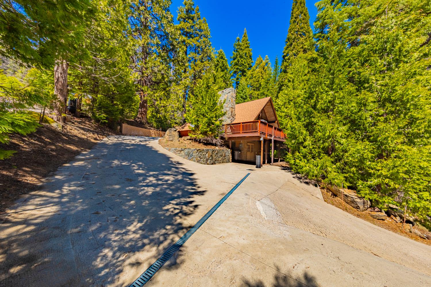 1163 Silver Tip Ln, Fish Camp, CA 93623