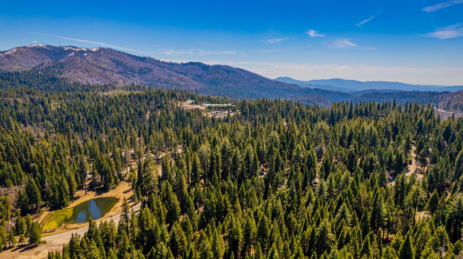 1163 Silver Tip Ln, Fish Camp, CA 93623