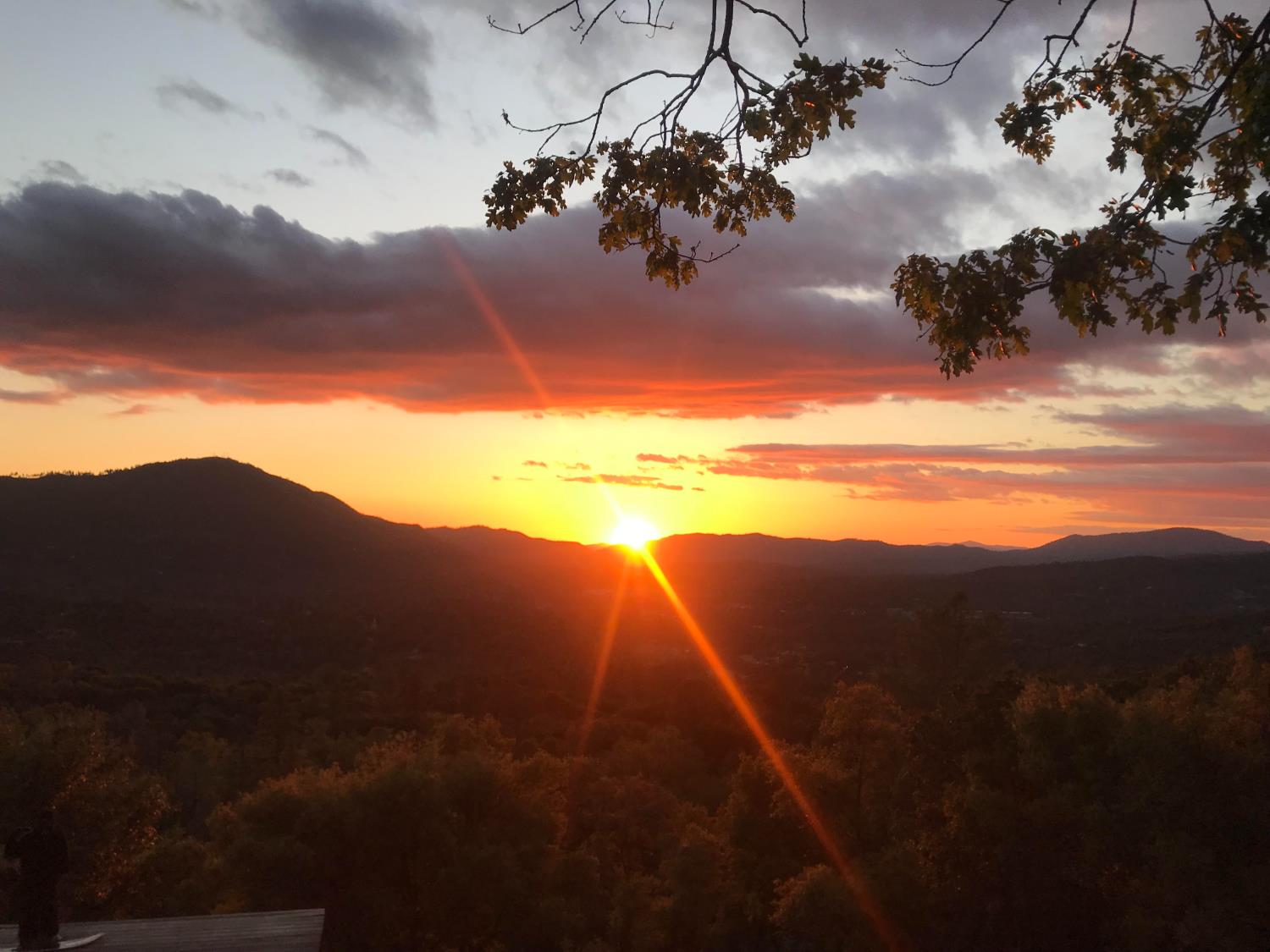 51571 Coyote Ridge Rd, Oakhurst, CA 93644