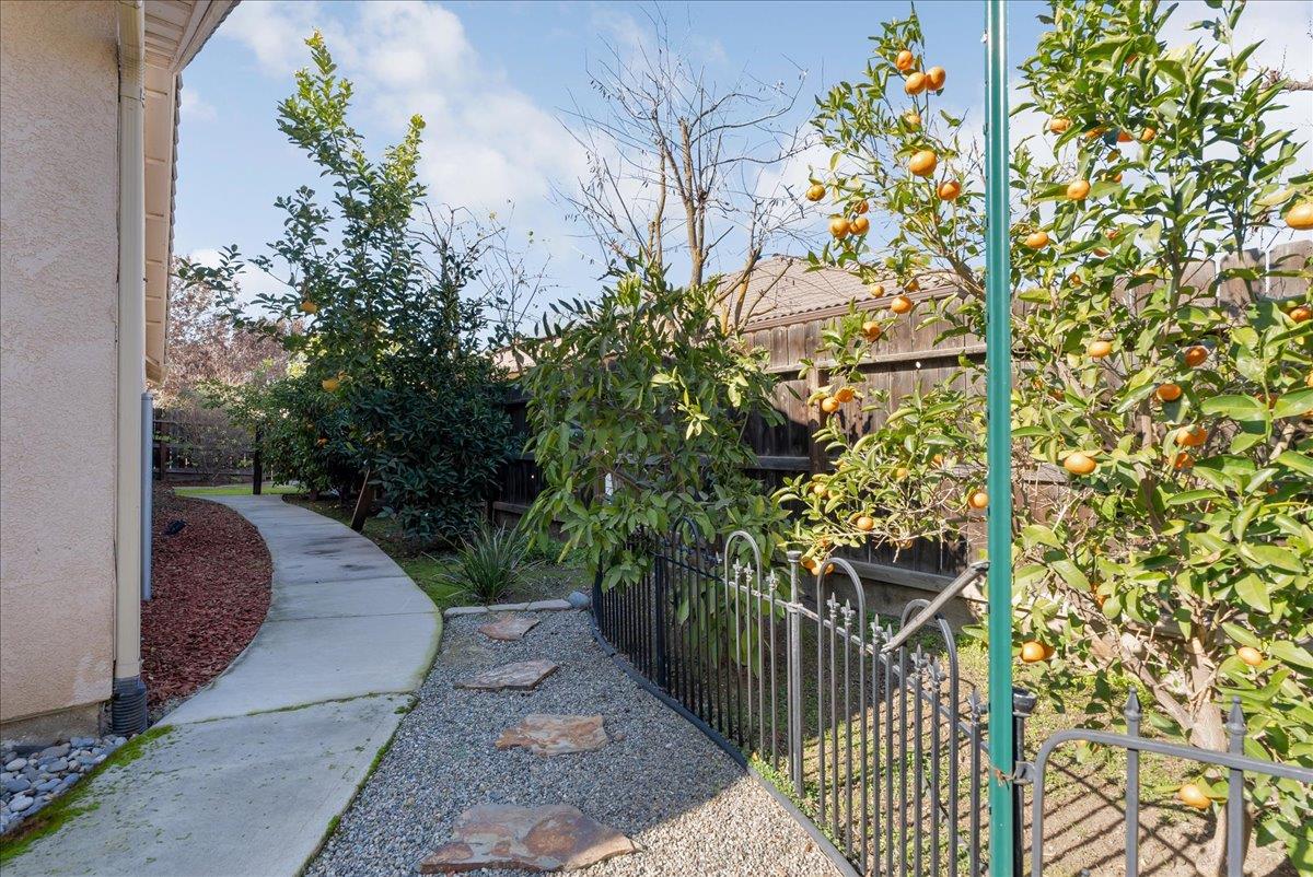 3624 N Jackie St, Visalia, CA 93291