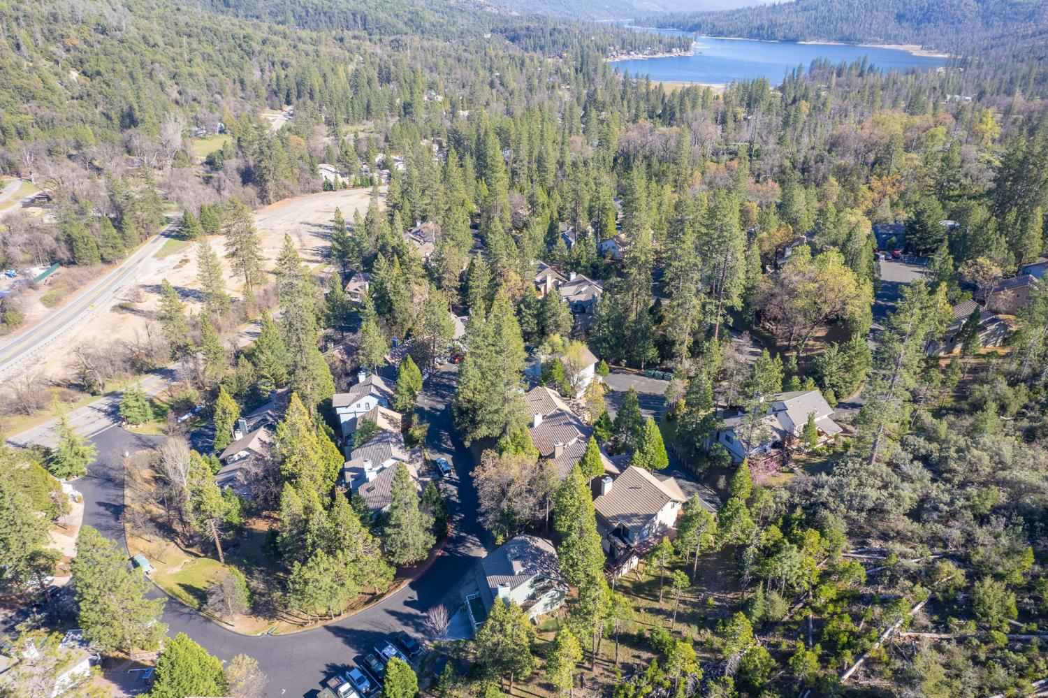 40624 Saddleback Rd, Bass Lake, CA 93604