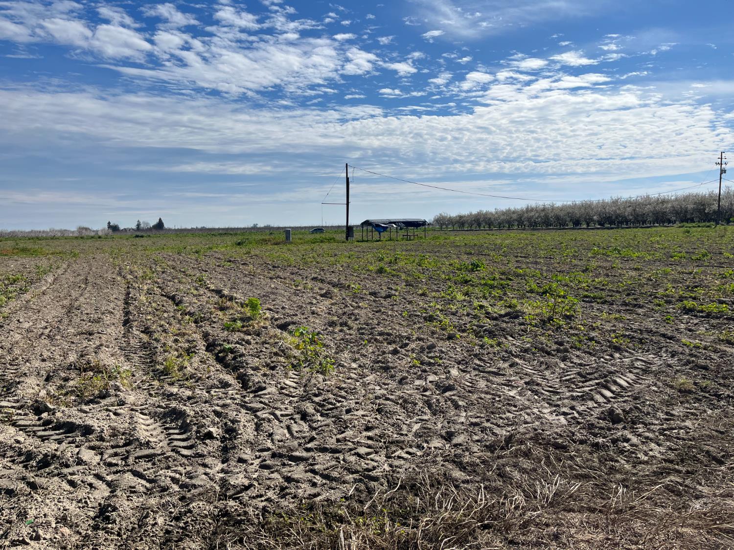 6066 S Cornelia, Fresno, CA 93706