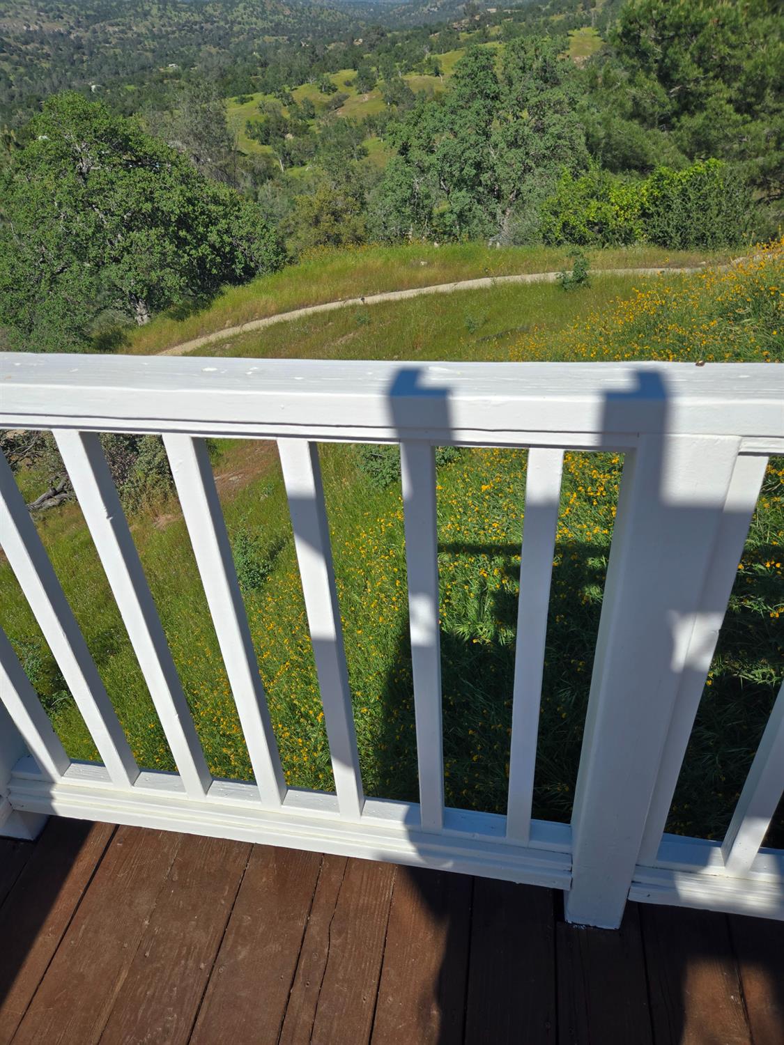 39925 Lilley Mountain Dr, Coarsegold, CA 93614