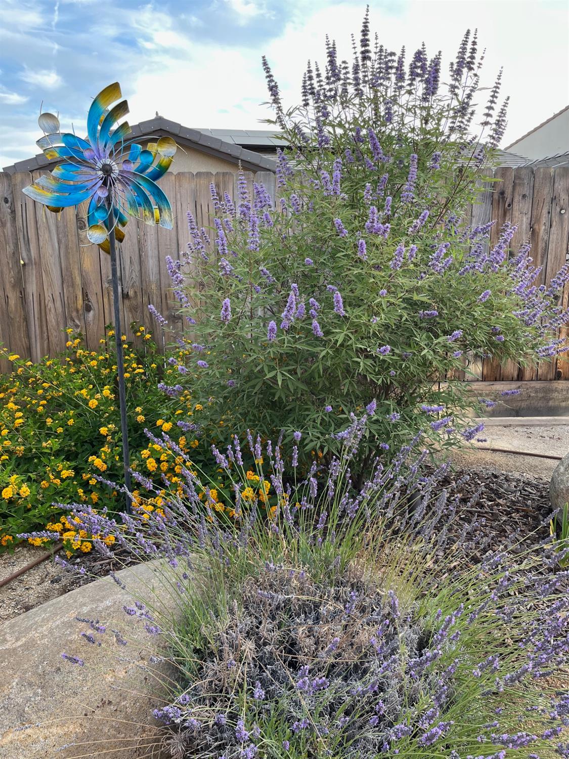 979 Spring St W, Madera, CA 93636