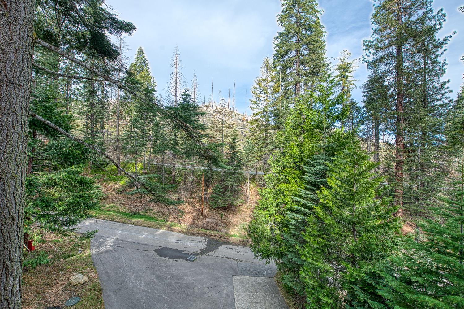 44261 Shaver Lake Rd, Shaver Lake, CA 93664