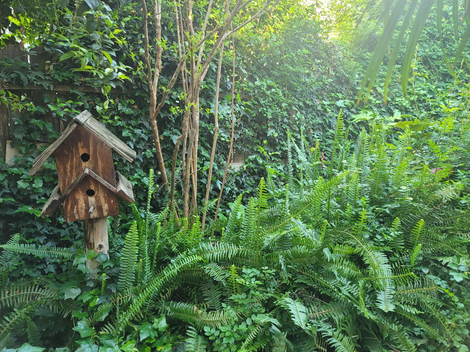 2827 E Shea, Fresno, CA 93720