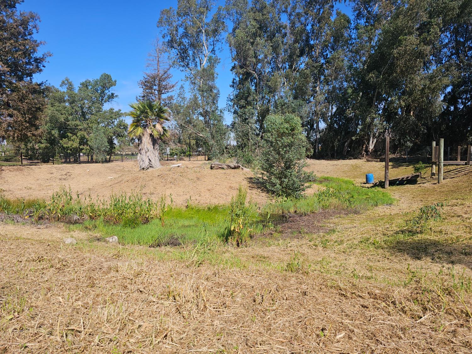 35634 Marciel Ave, Madera, CA 93636