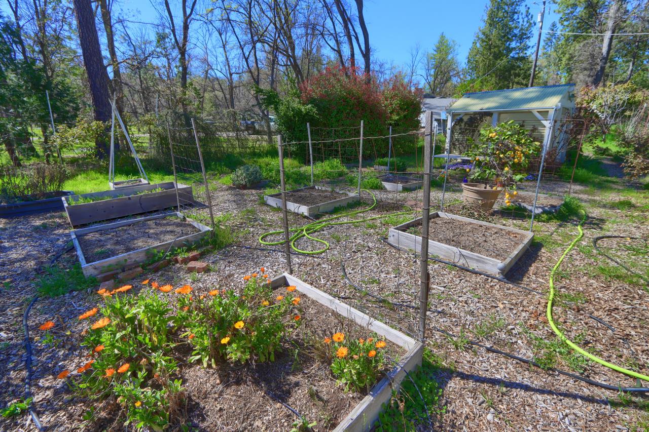 5606 Silver Strand Fall, Mariposa, CA 95338