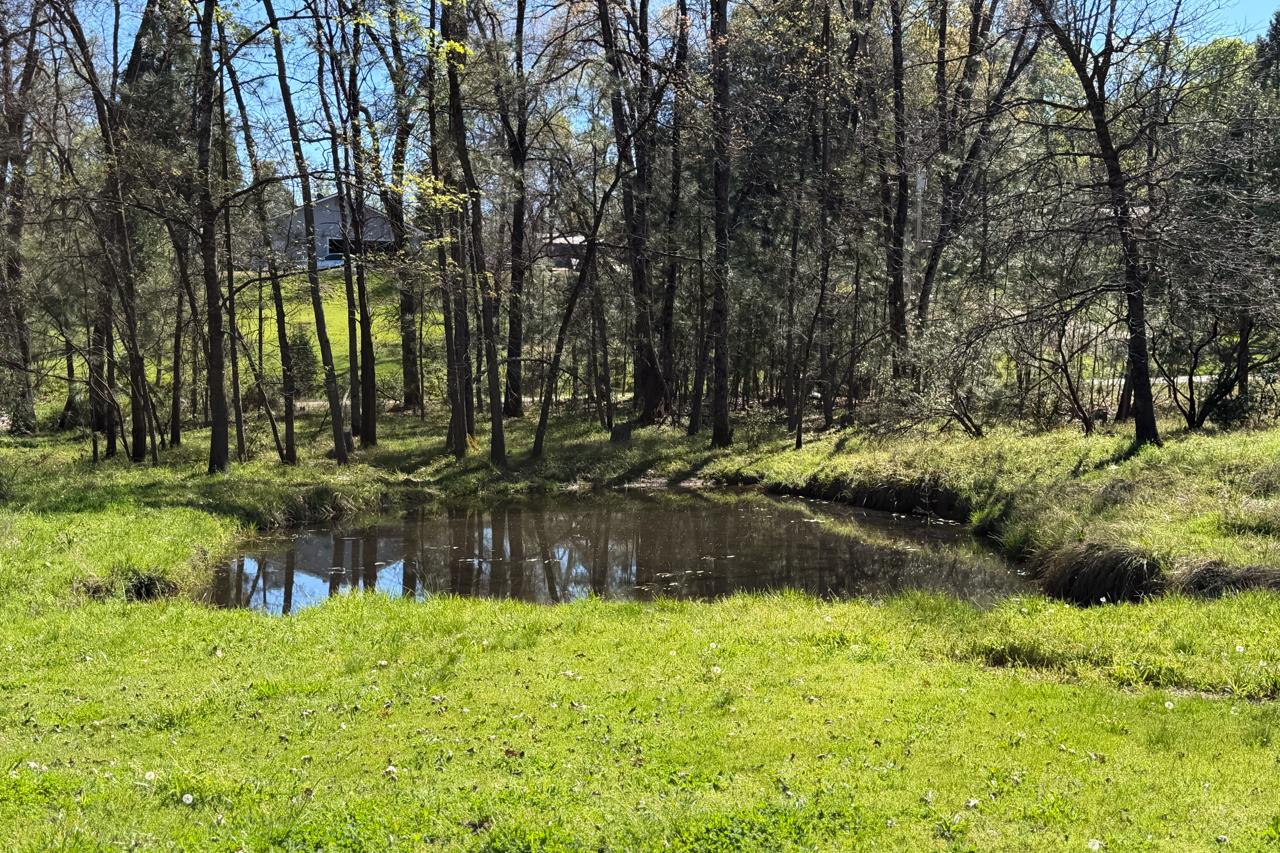 5606 Silver Strand Fall, Mariposa, CA 95338