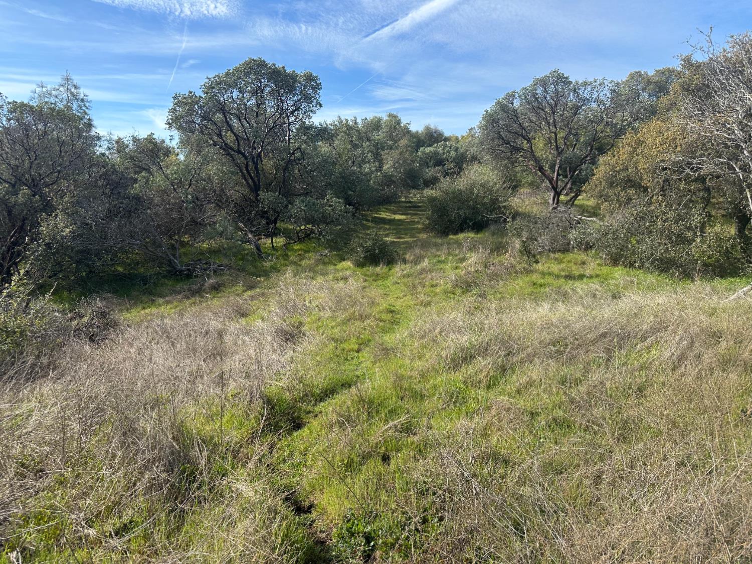 9 Acres Quartz Ridge Ct, Coarsegold, CA 93614