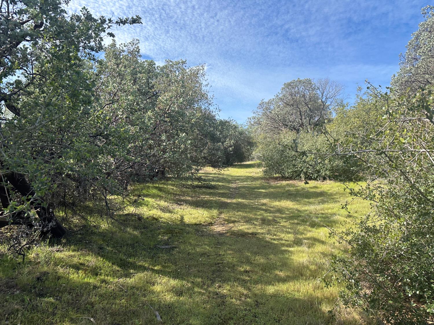 9 Acres Quartz Ridge Ct, Coarsegold, CA 93614