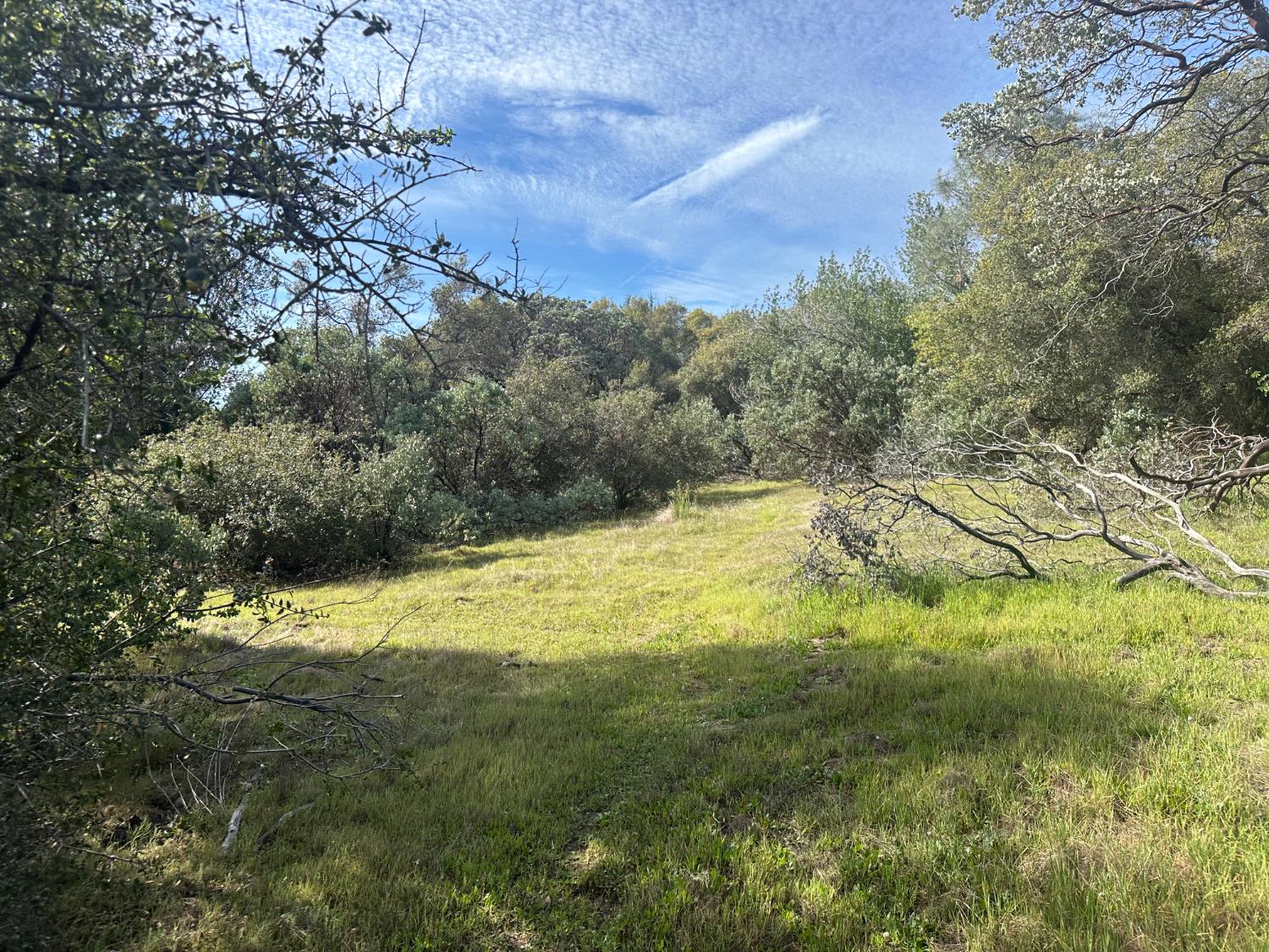 9 Acres Quartz Ridge Ct, Coarsegold, CA 93614