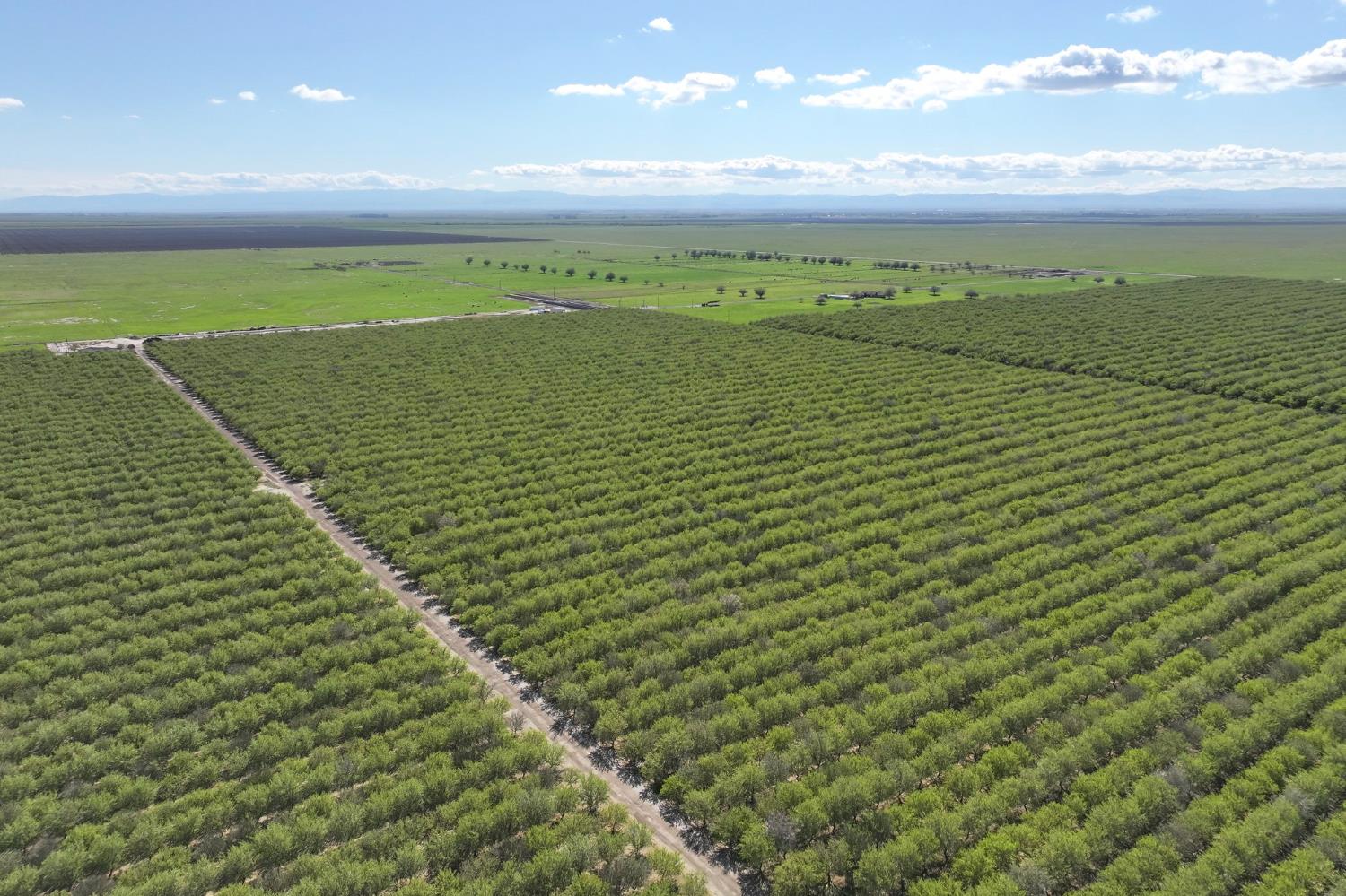 11885 Road 9, Madera, CA 93637