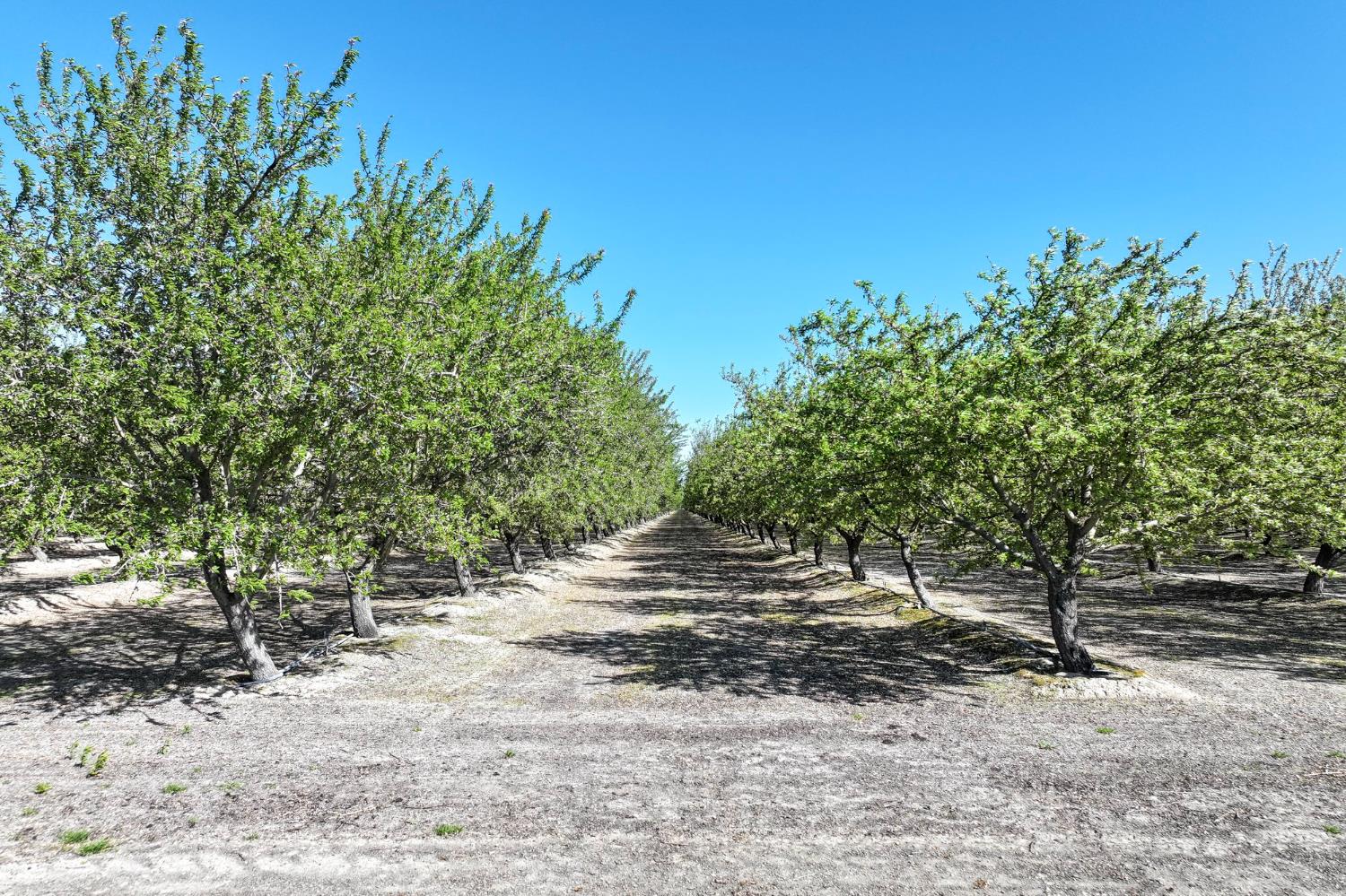 11885 Road 9, Madera, CA 93637