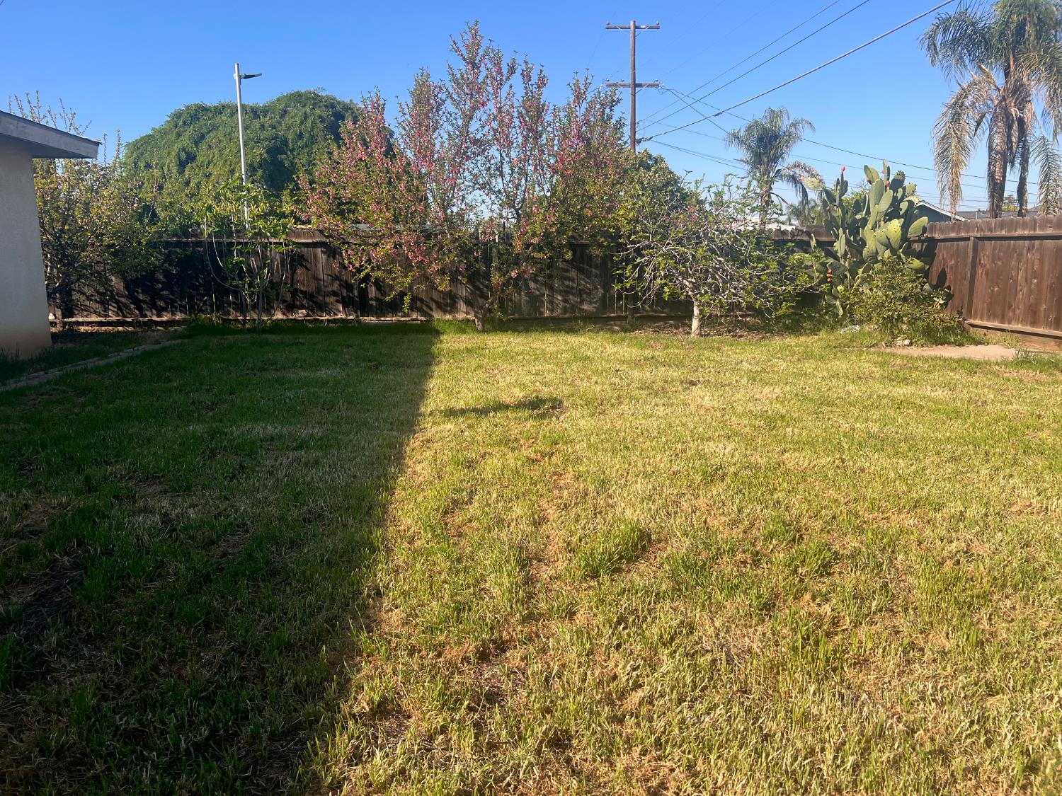 636 Newton, Dinuba, CA 93618