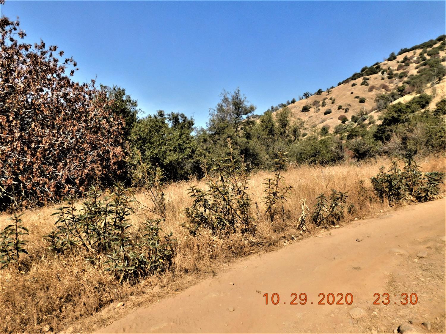 0 0 HWY 180, Dunlap, CA 93621