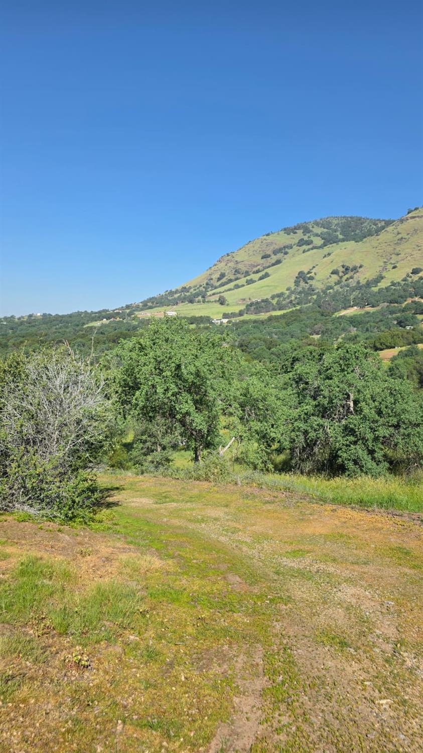 1248 Crane Ln, Yokuts Valley, CA 93675