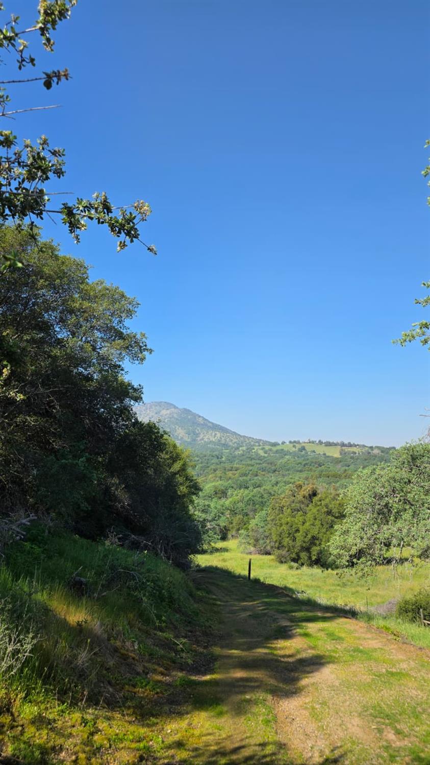 1248 Crane Ln, Yokuts Valley, CA 93675