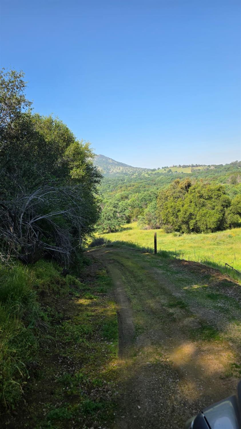 1248 Crane Ln, Yokuts Valley, CA 93675