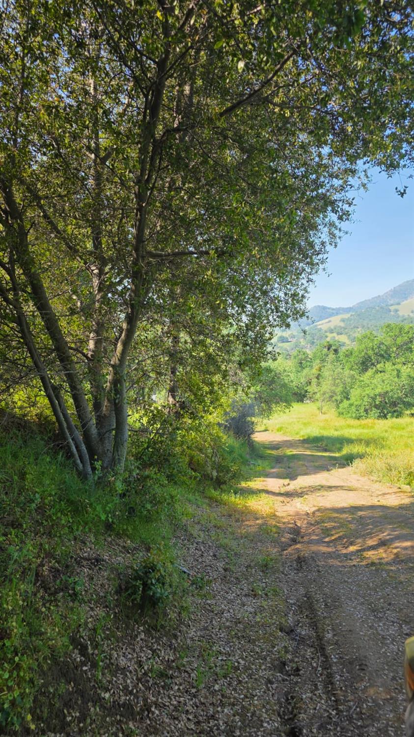 1248 Crane Ln, Yokuts Valley, CA 93675