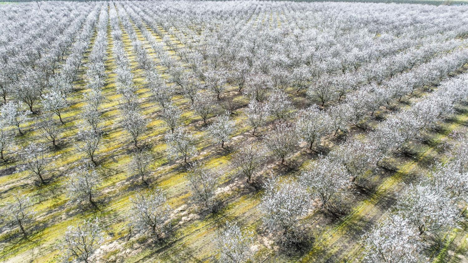 10690 S Henderson Rd, Fresno, CA 93706