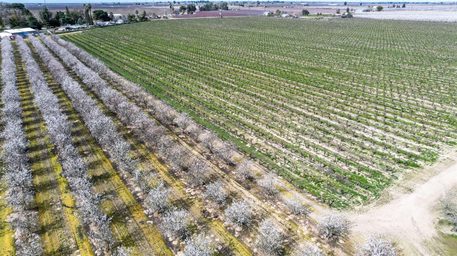 10690 S Henderson Rd, Fresno, CA 93706