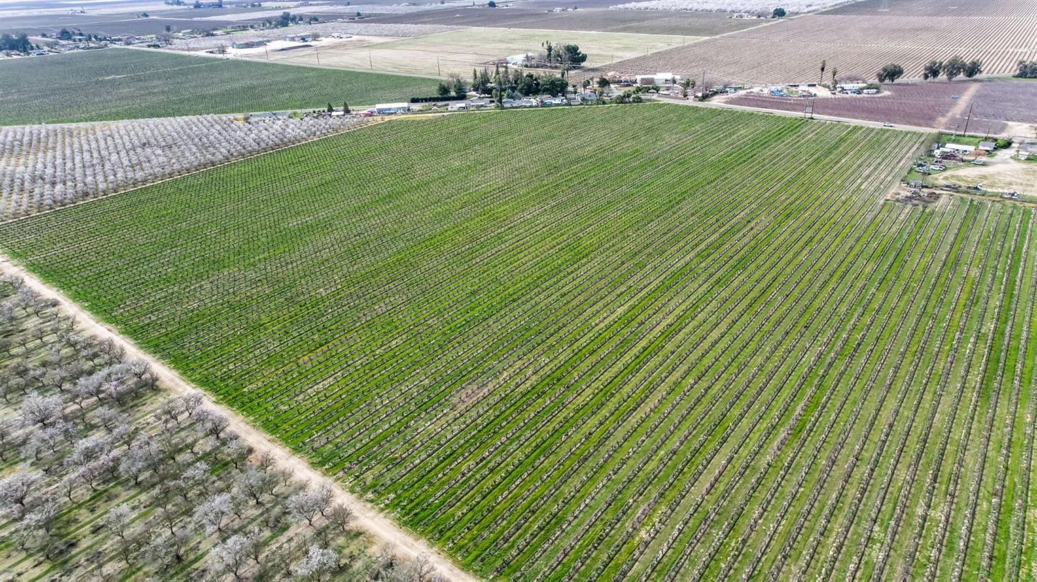 10690 S Henderson Rd, Fresno, CA 93706