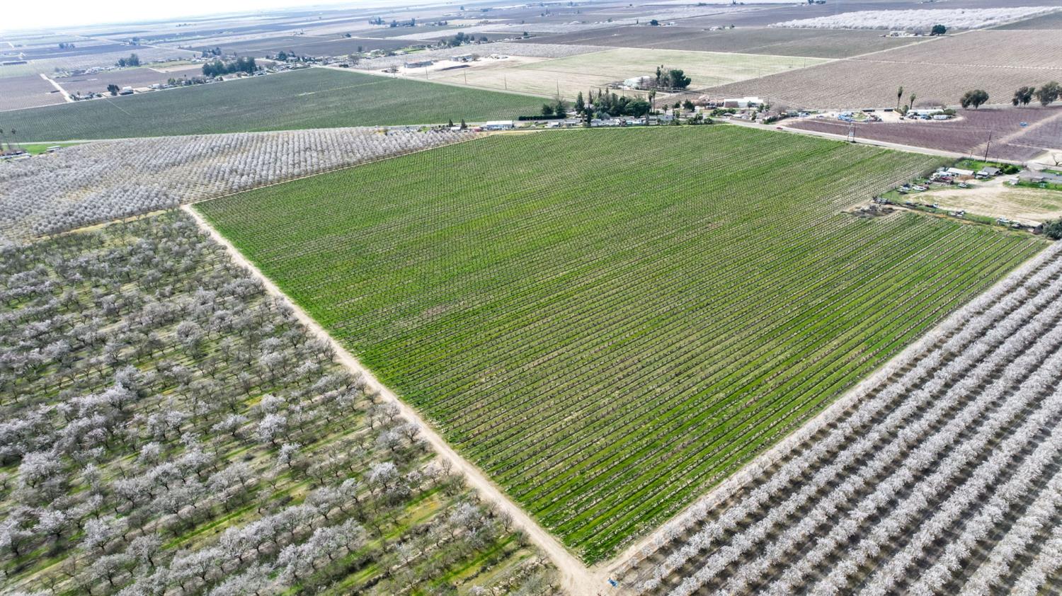 10690 S Henderson Rd, Fresno, CA 93706