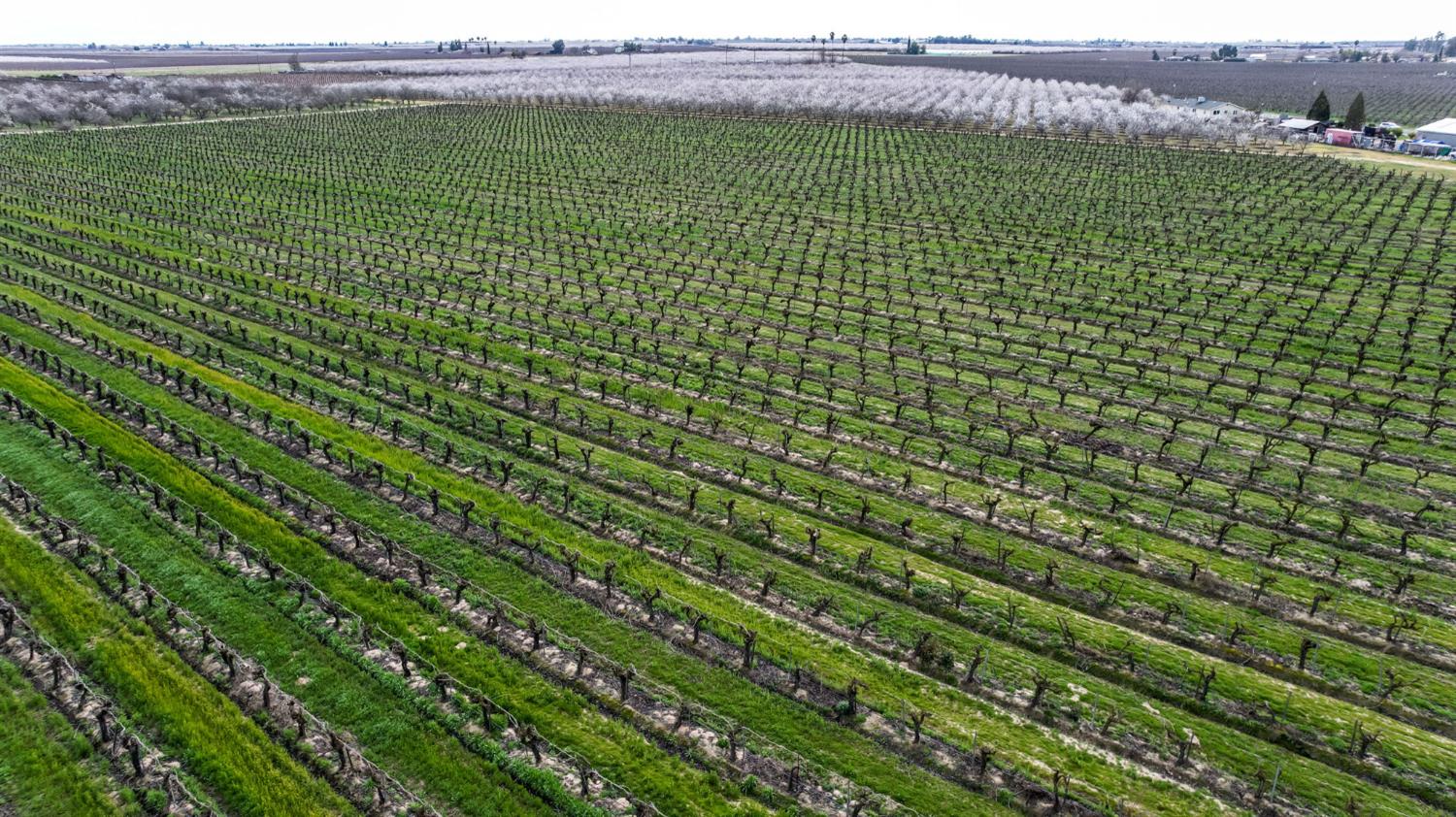 10690 S Henderson Rd, Fresno, CA 93706