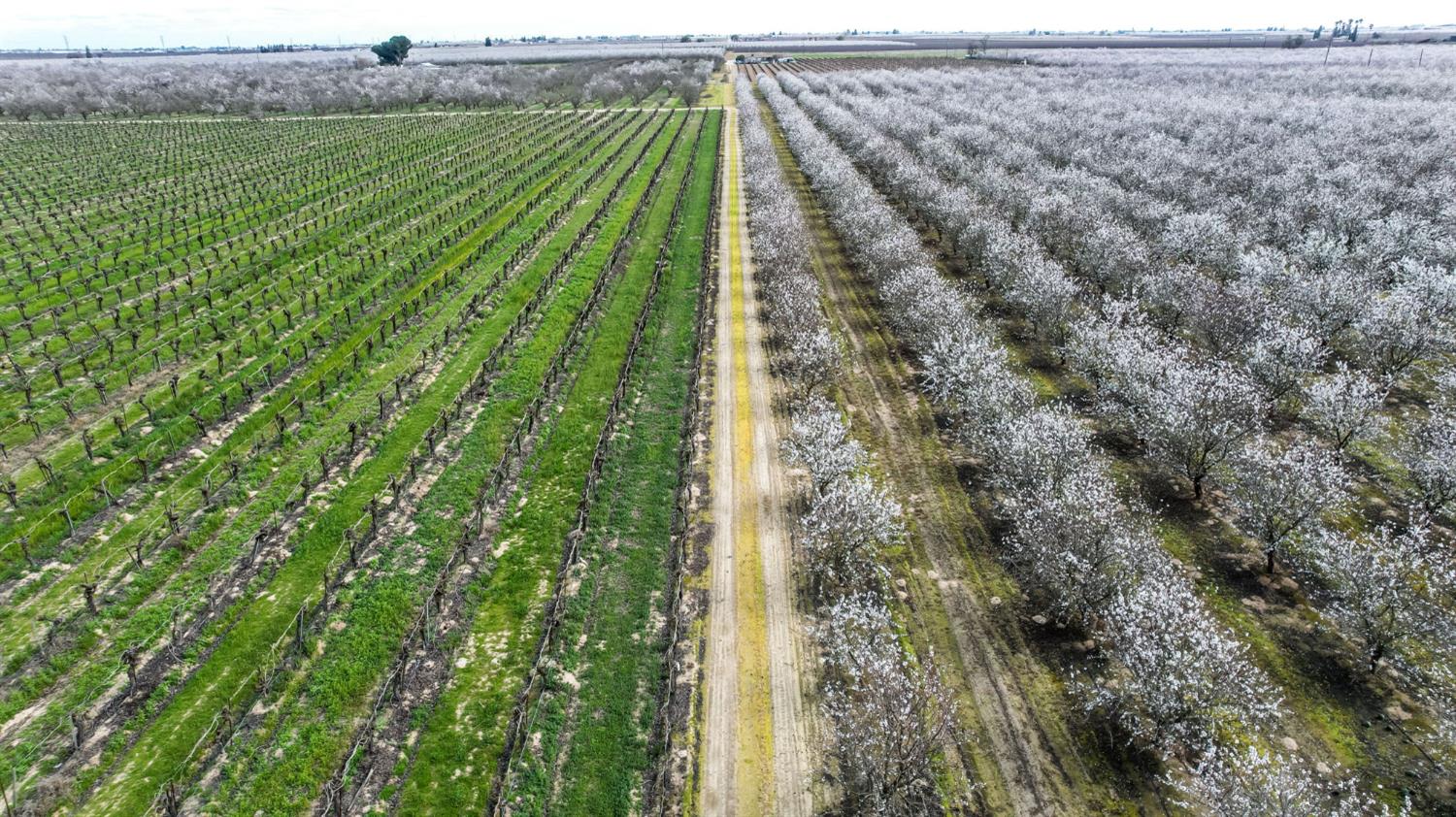 10690 S Henderson Rd, Fresno, CA 93706