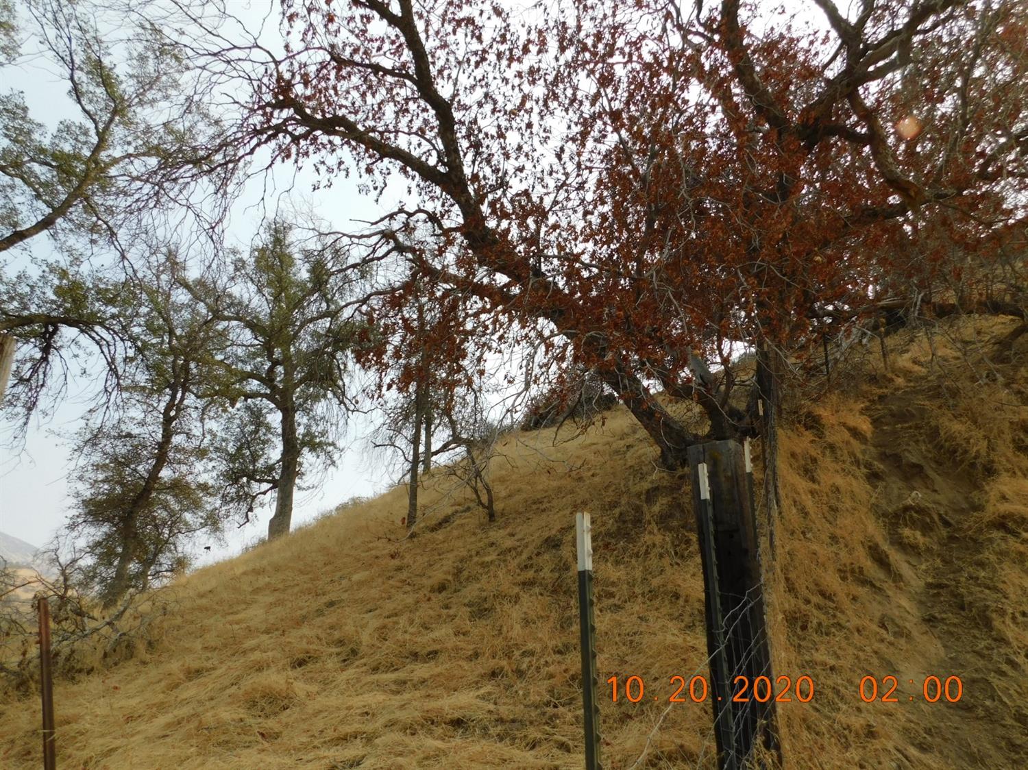 0 0 Bellows Dr., Sanger, CA 93657