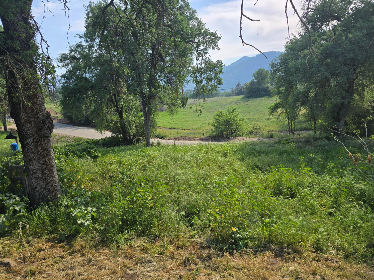 40210 Millwood Rd, Dunlap, CA 93621