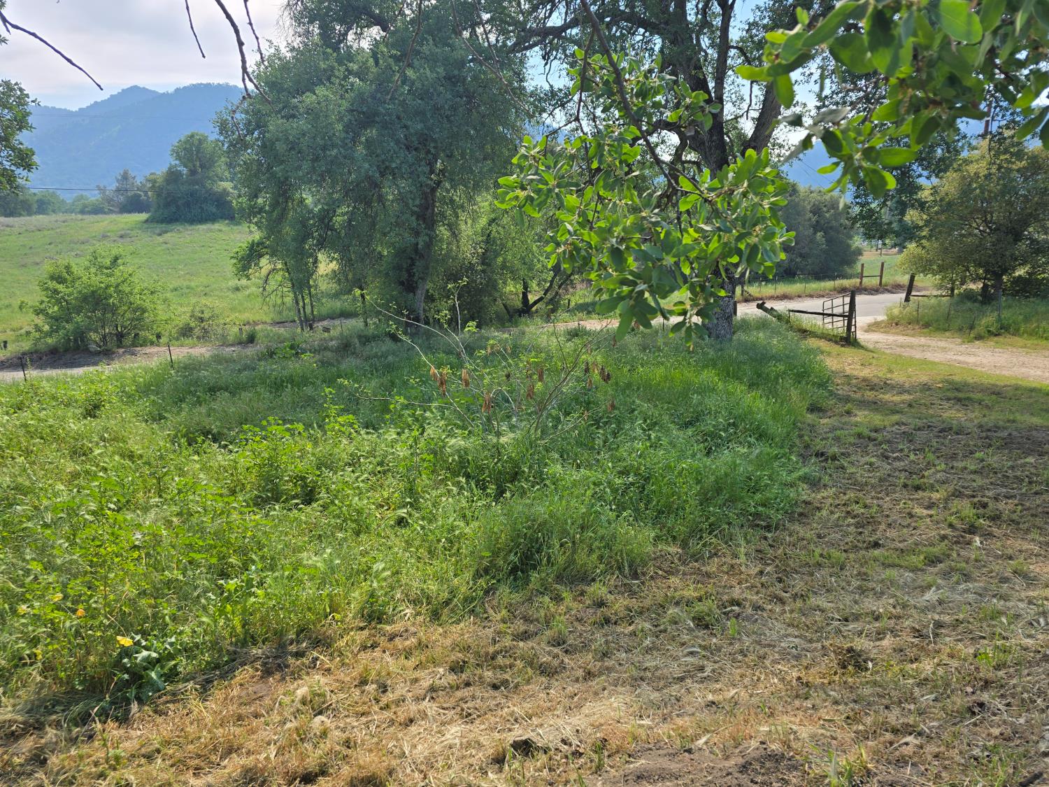 40210 Millwood Rd, Dunlap, CA 93621